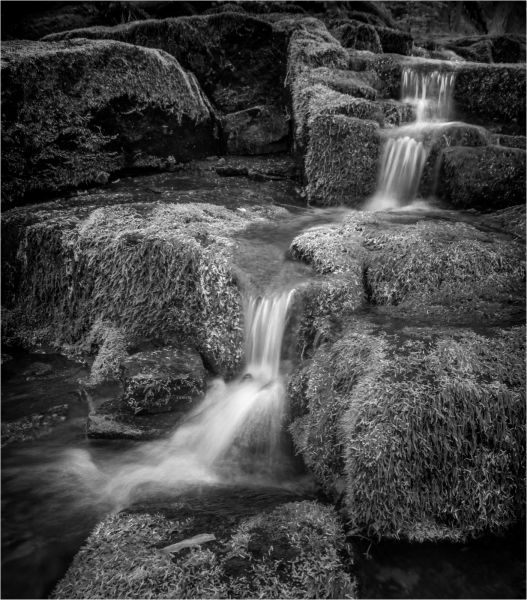 Jerry-Deutsch-Cascade-over-mossy-rocks-April-2025-Digital-Mono-Master-1st-Place
