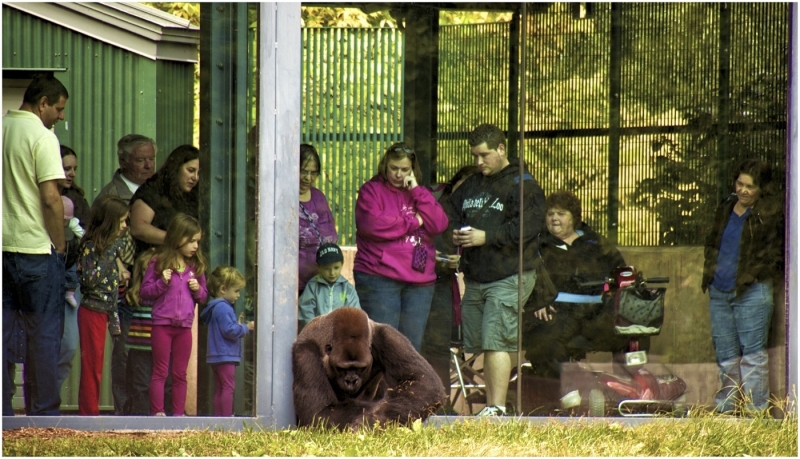 Jim-Kochis-Feels-Like-Someone-Is-Watching-Me-March-2025-Digital-Color-Advanced-1st-Place