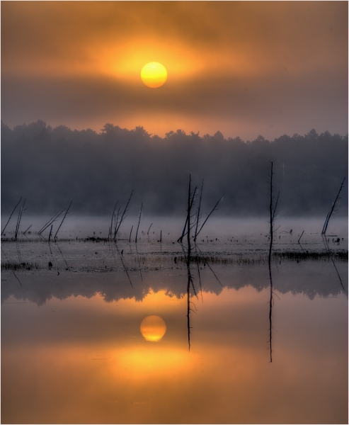 Joel-Goldberg-Sunrise-in-Pinelands-Feb-2025-Digital-Color-Master 1st-Place