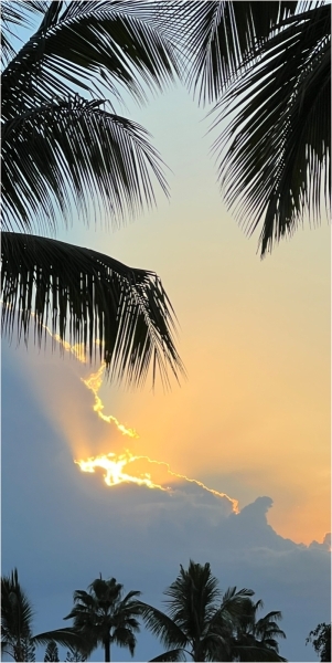 Mannie-Green-Hidden-Sun-Dec-2024-Digital-Color-Advanced-1st-Place