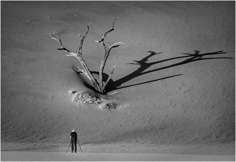 Marilyn-Baldi-Solo-Shot-Dec-2024-Digital-Mono-Master-1st-Place