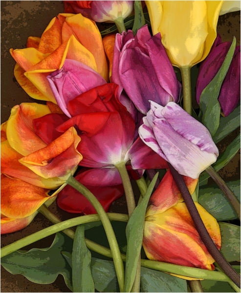 Nancy-Dieker-Forgotten-Tulips-May-2025-Digital-Color-Salon-1st-Place