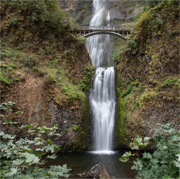 Richard-Eichel-Multnomah-Falls-Jan-2025-Digital-Color-Beginner-1st-Place