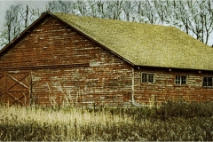 Anthonys-Barn_Phil-Levy-Topic-Red-DIGITAL-Color-Salon_Award_20191031