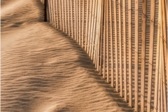 Autumn-Morning-Beach-Patterns_Gary-Slawsky_Open-DIGITAL-Color-Salon_Award_Dec-2019