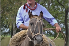 Gaucho_Howard-Wichansky_Open-PRINT-Color-Salon_Medal_Dec-2019