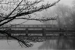 Herbert-Zaifert_In-the-fog_Apr-23-2020_Open-DIGITAL-Mono-Salon_Award