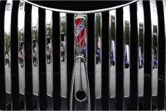 Joel-Goldberg_Grilled._Apr-23-2020_Open-DIGITAL-Color-Salon_Medal