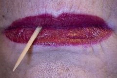 Lips-and-Stick_Howard-Wichansky-Topic-Red-PRINT-Color-Salon_Award_20191031