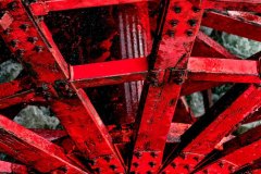 Paddlewheel-American-Queen_David-Carboy-Topic-Red-PRINT-Color-Salon_Award_20191031