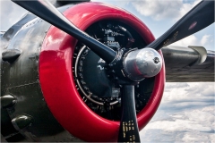 Ready-For-Duty-Sir_Tom-Bartel-Topic-Red-DIGITAL-Color-Salon_Award_20191031