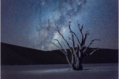 Sky-Path-Deadvlei-2_Marilyn-Baldi_Special-Topic-Long-Exposure-DIGITAL-Color-Salon_Medal_Jan-2020