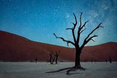 Sky-Path-Deadvlei_Marilyn-Baldi_Special-Topic-Long-Exposure-DIGITAL-Color-Salon_Award_Jan-2020