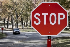Stop_Howard-Wichansky-Topic-Red-PRINT-Color-Salon_Medal_20191031