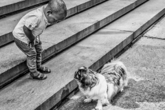 Street-Photos-Digital-Mono-Salon-The-Stair-Down-Mary-Fenton-Jan-2019-1st-Place
