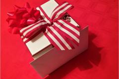 Surrounded-In-Red_Tom-Bartel-Topic-Red-PRINT-Color-Salon_Award_20191031