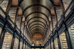 Anoop-Srivastava_Trinity-College-Library-Dublin-Dec-2020-Open-Color-Beginner_Medal