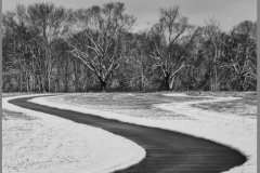 Bob-Dowd-A-Winter-Day-Nov-2020-Monochrome-SALON-Award