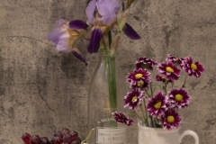 Cheryl-Auditor_Iris-with-company_May-2021_-Still-Life-Flowers_-Color-Salon_Award