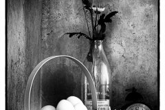 Cheryl-Auditor_Timeless-Film-Noir_May-2021_-Still-Life-Flowers_-Mono-Salon_Award