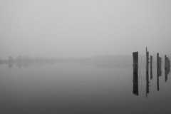 Cindy-Mirabella-Misty-Moorings_March-2021-Special-Topic-Creative-Mono-Beginner-Award