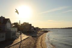 Corey-Chong_sunbathing-bird_June-2021_New-Place-You-Love-Color-Beginner_Award