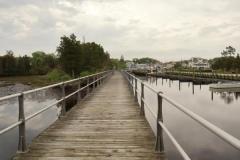 Corey-Chong_the-path_June-2021_New-Place-You-Love-Color-Beginner_Award