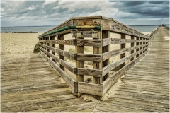 Decision Point to Fish Or Swim