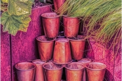 Painterly Plants And Pots In The Corner