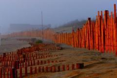 Gene-Nigro_Sandbreak-on-The-OBX-_June-2021_New-Place-You-Love-Color-Beginner_Medal