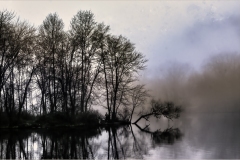 Herbert-Zaifert_Fogy-morning-in-NJ_June-2021_New-Place-You-Love-Color-Salon_1st-Place