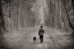 Ira-Brodsky_A-Walk-through-the-Tall-Trees_June-2021_New-Place-You-Love-Mono-Advanced_Award