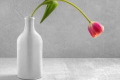 Jerry-Deutsch_Lone-Tulip_May-2021_-Still-Life-Flowers_-Color-Salon_Award