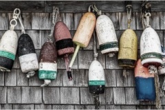 Mark-Schwartz_Maine_June-2021_New-Place-You-Love-Color-Master_Medal