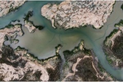 Mark-Schwartz_Swamplands-of-NJ_June-2021_New-Place-You-Love-Color-Master_1st-Place