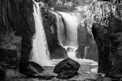 Matthew-Siegel_Wild-and-Free-Oct-2020-Open-DIGITAL-Mono-Beginner_Award