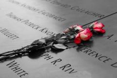 Mona-Srivastava_Saying-it-with-flowers-I-miss-you-everyday-_May-2021_-Still-Life-Flowers_-Color-Advanced_Medal