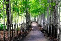 Patricia-Hart-Zackman_Where-to-Next_June-2021_New-Place-You-Love-Color-Advanced_Award