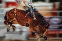 Phil-Levy_The-Rodeo_June-2021_New-Place-You-Love-Color-Salon_Award