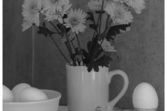 Tricia-Lea-Rhodes_Still-Life-Farm-House-Table-BW_May-2021_-Still-Life-Flowers_-Mono-Advanced_Award