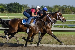 Bernie-Solomon_And-the-Race-is-on_Jan-2022_Open-DIGITAL-Color-Advanced_Award