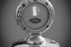 Bernie-Solomon_Antique-Ford-Hood-Ornament_Mar-2022_Open-DIGITAL-Mono-Advanced_Award