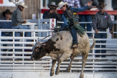 Bernie-Solomon_Ride-em-Cowboy_Mar-2022_Open-DIGITAL-Color-Advanced_Award