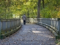 Ira-Brodsky_Walking-Toward-the-Light_November-2021_Bridges_-Color-Advanced_Award