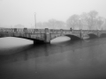 Joe-Ferraro_Foggy-Morning-Stroll_November-2021_Bridges_-Mono-Advanced_Award