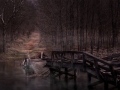 Joe-Ferraro_I-didnt-want-to-go-anyway._November-2021_Bridges_-Color-Advanced_Award