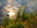 Terry-Pilitzer_Where-Heaven-Meets-Earth_Dec-2021_Open-Competition-DIGITAL-Color-Advanced_1st-Place