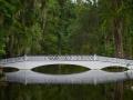 Victor-Mistretta_Plantation-Bridge_November-2021_Bridges_-Color-Advanced_Award