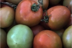 Rich-Eichel_Bushel-of-Tomatos_Oct-2021_Open-Color-Beginner_Honorable-Mention