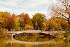 Anoop-Srivastava_Bow-Bridge-Central-Park_November-2021_Bridges_-Color-Beginner_Award